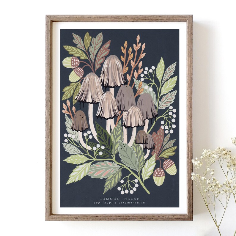 Op de afbeelding: Een digitale illustratie van een groep gewone inktzwammen, ook bekend als Coprinopsis atramentaria, omringd door groene en bruine bladeren en witte bessen. De paddenstoelen zijn afgebeeld in grijstinten en bruin, tegen een donkerblauwe achtergrond.