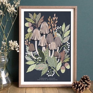 May include: A botanical illustration of a cluster of Common Inkcap mushrooms (Coprinopsis atramentaria) in shades of grey and brown, surrounded by green leaves and white berries on a dark blue background.