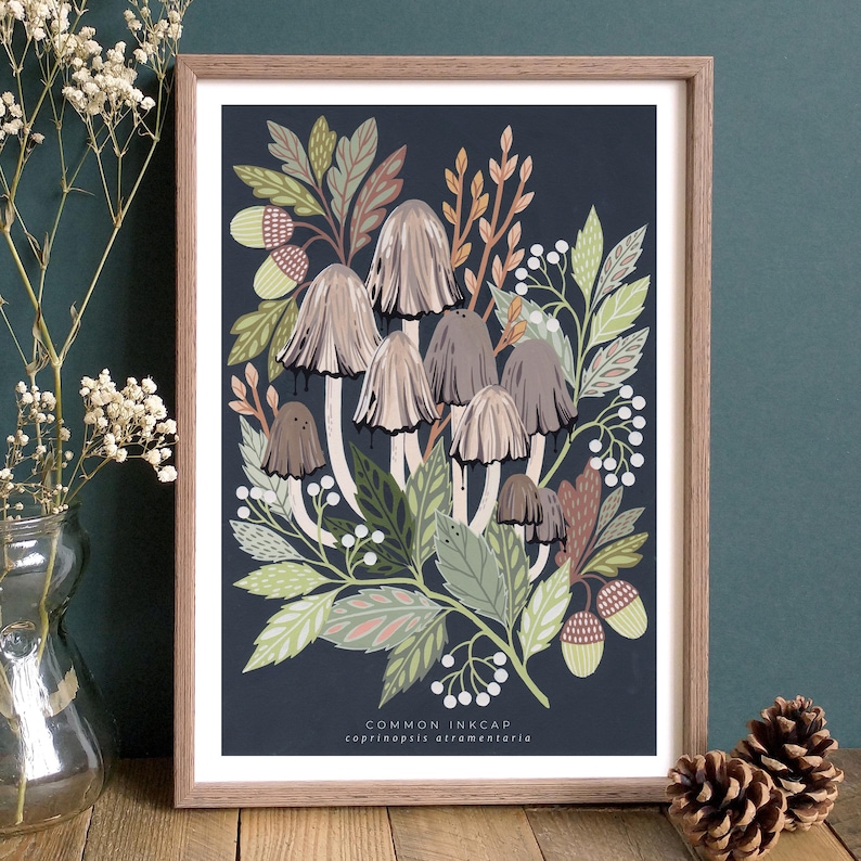 Op de afbeelding: Een botanische illustratie van een groep gewone inktzwammen (Coprinopsis atramentaria) in grijstinten en bruin, omringd door groene bladeren en witte bessen op een donkerblauwe achtergrond.