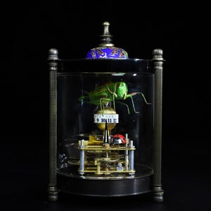 May include: A clock with a glass dome, featuring a green grasshopper and a red ladybug. The clock face has black numbers and a gold background. The clock is encased in a brass frame with a blue and gold top.