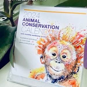 2024 UK Desk Calendar with Animal Conservation watercolours and well-being quotes. Illustrations by June Lloyd