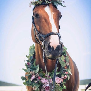 Horse Neck Garland - Horse Photography Prop - Rustic Wedding Decor - Horse Maternity Shoot - Equine Photography Garland - Bridal Photography