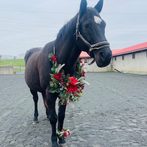 Christmas Horse Neck Garland - Horse Photography Prop - Rustic Wedding Decor - Horse Maternity Shoot - Equine Photography Garland - Bridal