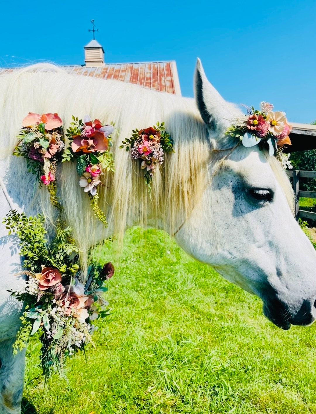 Horse Neck Garland - Horse Photography Prop - Rustic Wedding Decor - Horse  Maternity Shoot - Equine Photography Garland - Bridal Photography - Etsy, image size:1080x1414