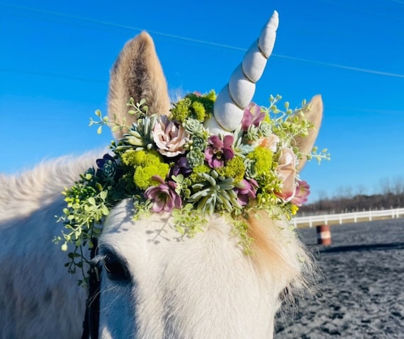 Horse Unicorn Flower Crown - Horse Photography Prop  display picture 1