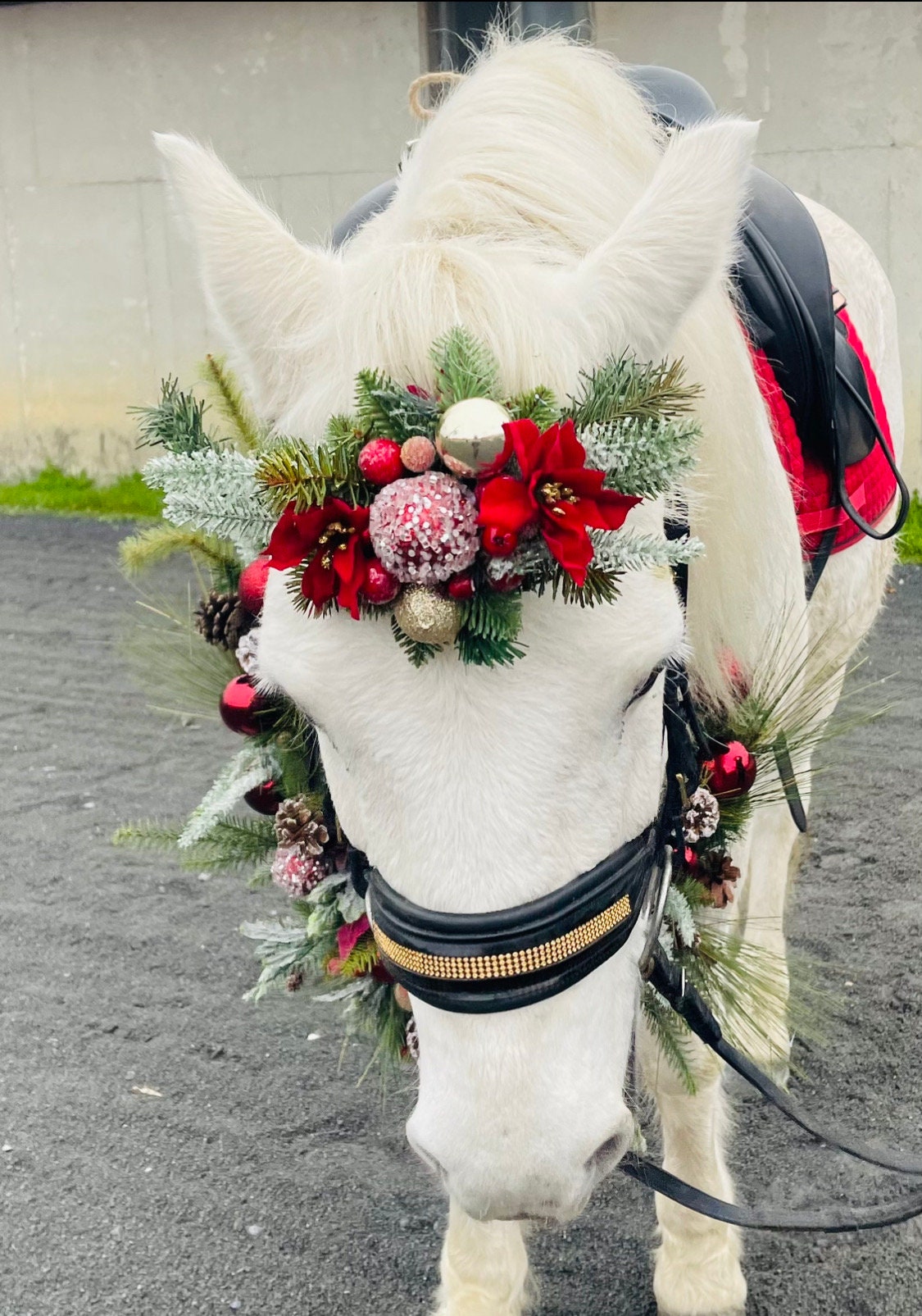 horse christmas dress up ideas Neck Garland - Horse Photography Prop - Rustic Wedding Decor - Horse Maternity Shoot - Equine Photography Garland - Bridal way stretch premium Lycra