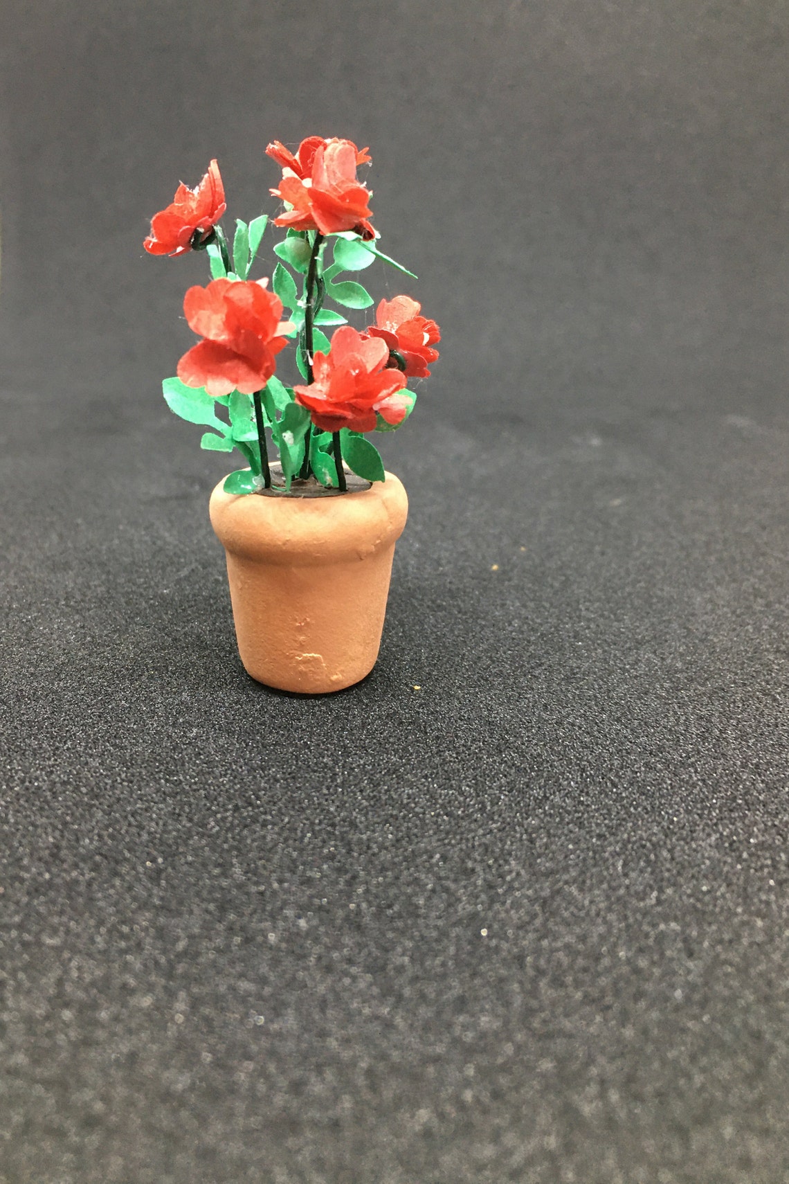 Miniature terra cotta pot of 6 red roses Etsy