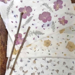 30 x 40 cm D Handgjort botaniskt papper: Pressade blommor, ekologisk lyxig omslagspapper