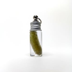 Dill pickle jar pendant gift for pickle lovers Pickleball keychains fun gift charm Dill with it pickle gift Pickle jar necklace or keychain