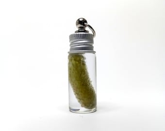 Dill pickle jar pendant gift for pickle lovers Pickleball keychains fun gift charm Dill with it pickle gift Pickle jar necklace or keychain