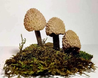 3/5/10/30 pcs Natural decor Mushroom table ornaments home fungus like decoration craft supply