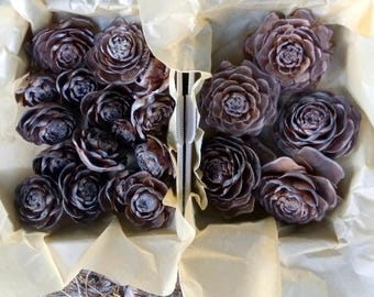 Cedar cone flowers Dry natural craft supply DIY floral decoration