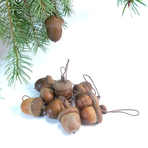 Set of real large acorn pendant ornaments Real acorn decor Natural acorns decoration for Christmas Valentines day Easter Spring Fall