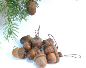 Set of real large acorn pendant ornaments Real acorn decor Natural acorns decoration for Christmas Valentines day Easter Spring Autumn