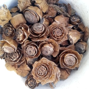 Könnte beinhalten: Nahaufnahme einer Sammlung getrockneter, brauner Tannenzapfen und Samenkapseln, von denen einige kleinen Rosen ähneln, die einen weißen Behälter füllen. Die natürlichen Elemente variieren in Größe und Textur und schaffen eine rustikale, erdige Ästhetik.