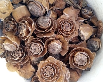 Large set of Cedar cone flowers Dry natural DIY craft supply floral decoration