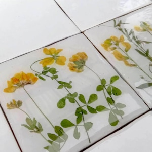 Könnte beinhalten: Ein Set aus quadratischen weißen Fliesen mit gepressten gelben Blumen und grünen Blättern, die in eine klare, glänzende Harzschicht eingebettet sind. Das botanische Arrangement zeigt zarte Stängel, kleine Blätter und leuchtend gelbe Blüten.
