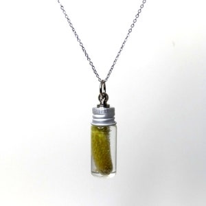 Dill pickle jar necklace pendant gift for pickle lovers Pickleball fun gift pendant Dill with it pickle gift Pickle jar keychain