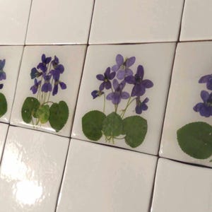 Herbarium Fliesen mit echten trockengepressten Blumen 10 x 10 cm einzelne dekorative Fliesenwandkunst-natürliche botanische Randfliesen