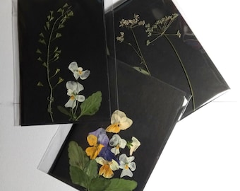 Handmade Herbarium condolence card botanical herbal real pressed flowers black eco kraft card set with envelope