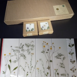 Op de afbeelding: Een verzameling botanische kunstwerken met geperste bloemen en planten. De afbeelding toont een grote bruine kartonnen doos, twee kleine vierkante dozen met bloemmotieven en verschillende witte tegels met geperste bloemen en groen.