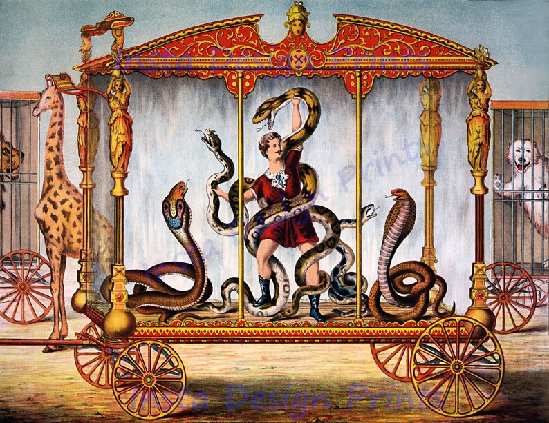 Circus Snake Charmer Vintage Reproduction Print 8 1/2 X 11 Etsy