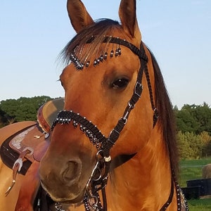 Dura-Tech All Weather Trail Halter and Bridle Combo