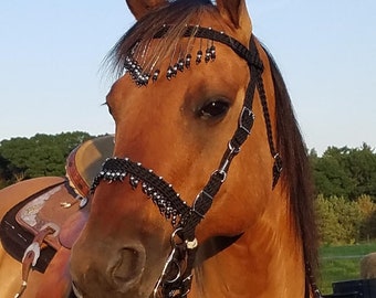 Stunning Hand Braided Bridle with Beaded Browband and noseband, Horse Tack,  BLACK w/SILVER   **New**