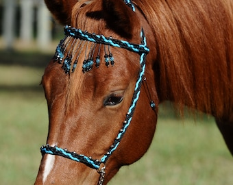 Stunning Hand Braided Miniature Show Halter BLACK / TURQUOISE  **NEW**