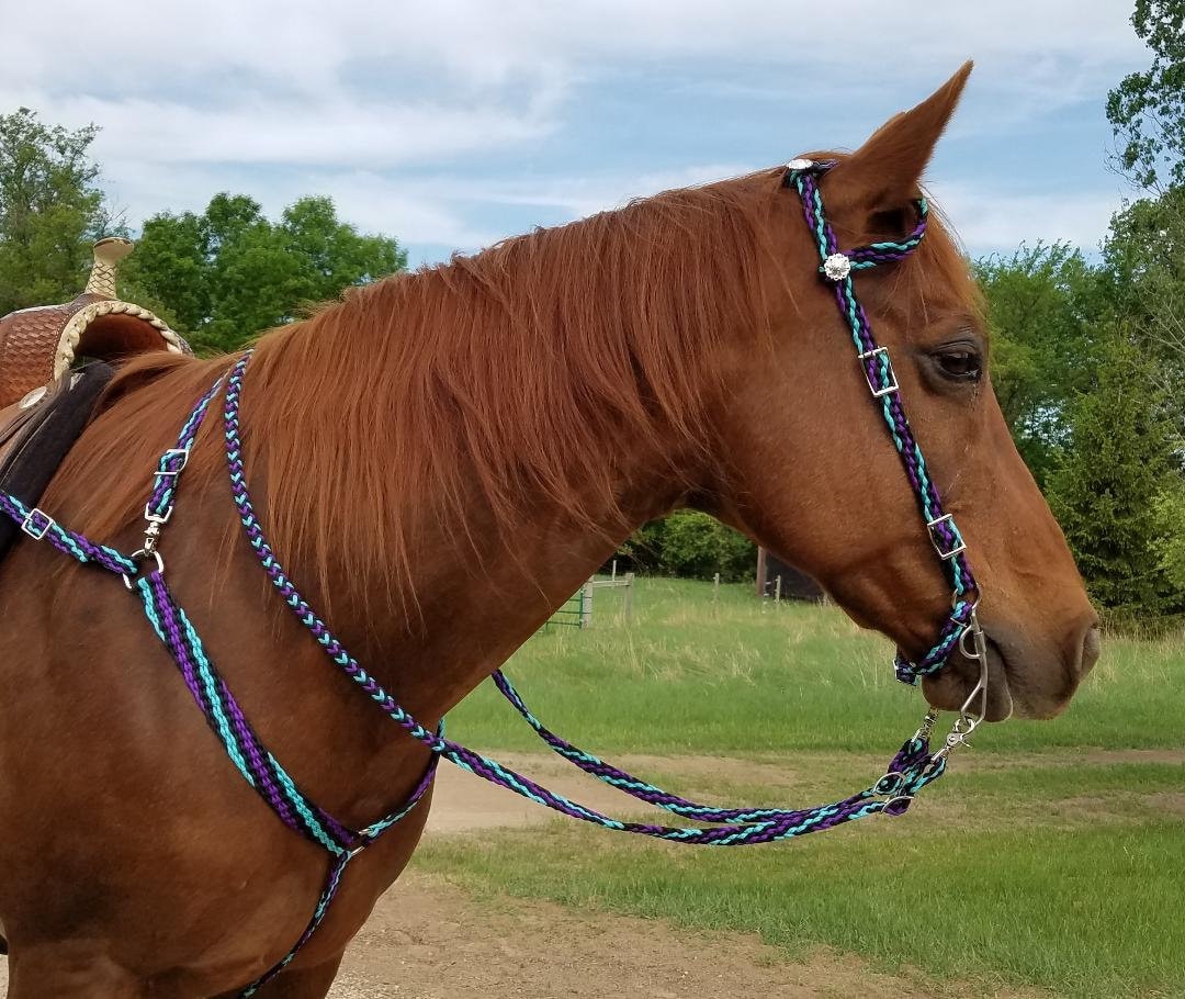 Show Tack Bridle Western Leather Rodeo Headstall Breast Collar 8526