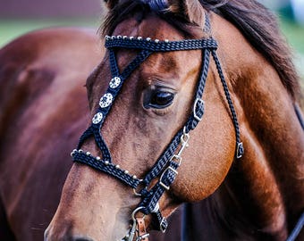 Stunning Hand Braided Halter-Bridle Combo with BLING Conchos Horse Tack, BLACK   **New**