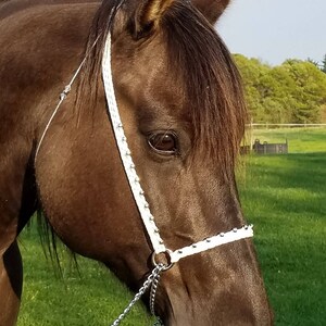 Hand Braided Arabian Style Show Halter, Horse Tack, WHITE  ---New!