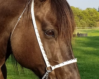 Hand Braided Arabian Style Show Halter, Horse Tack, WHITE  ---New!