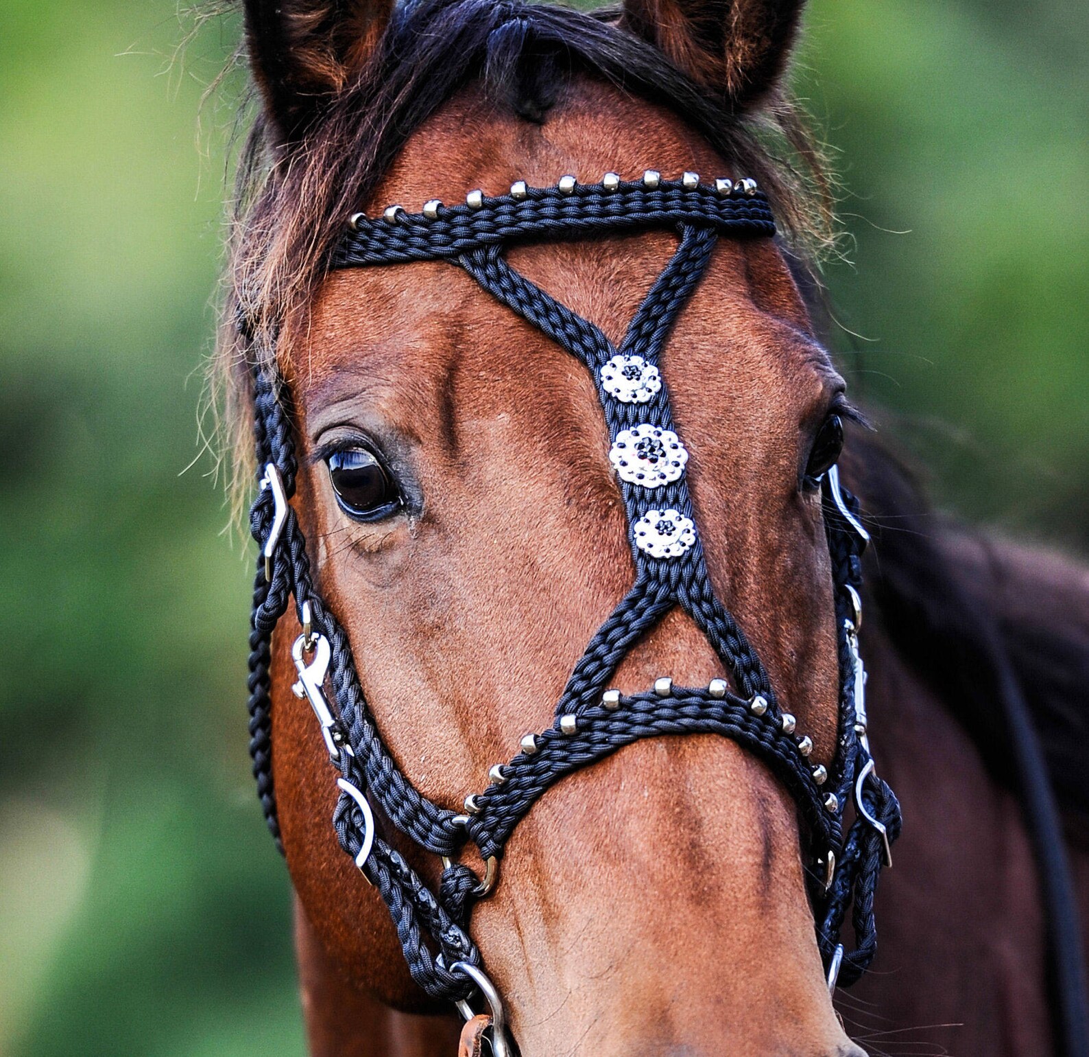 Stunning Hand Braided HalterBridle Combo with BLING Conchos Etsy