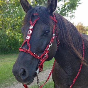 Stunning Hand Braided Halter-Bridle Combo with BLING Conchos Horse Tack, RED w/BLACK  **New**