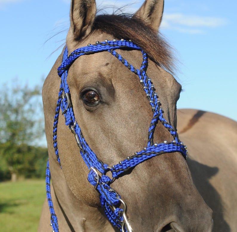Stunning Hand Braided Spanish Style Halterbridle Combo Horse Etsy