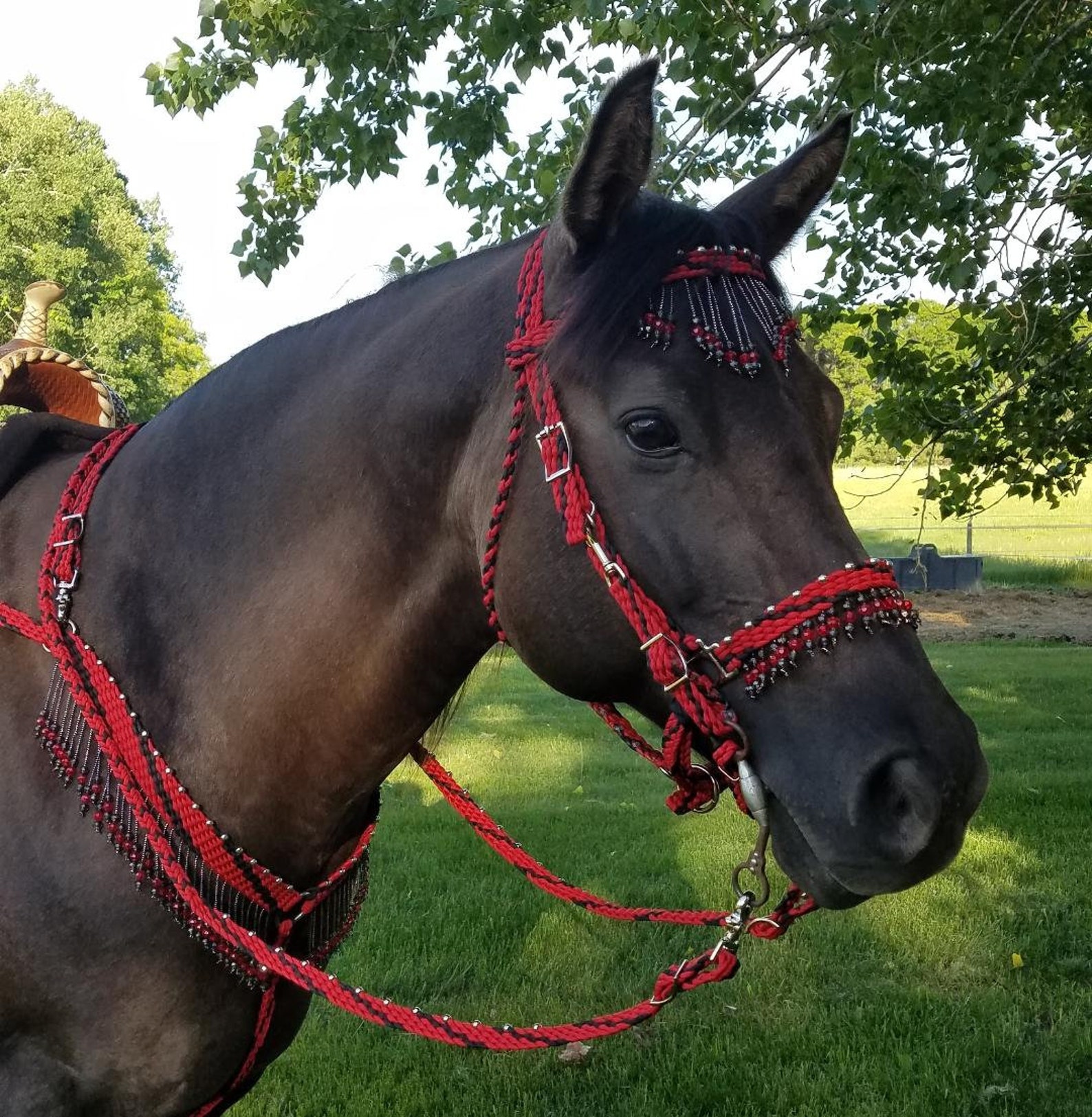 Stunning Hand Braided HalterBridle Combo with Beaded Etsy