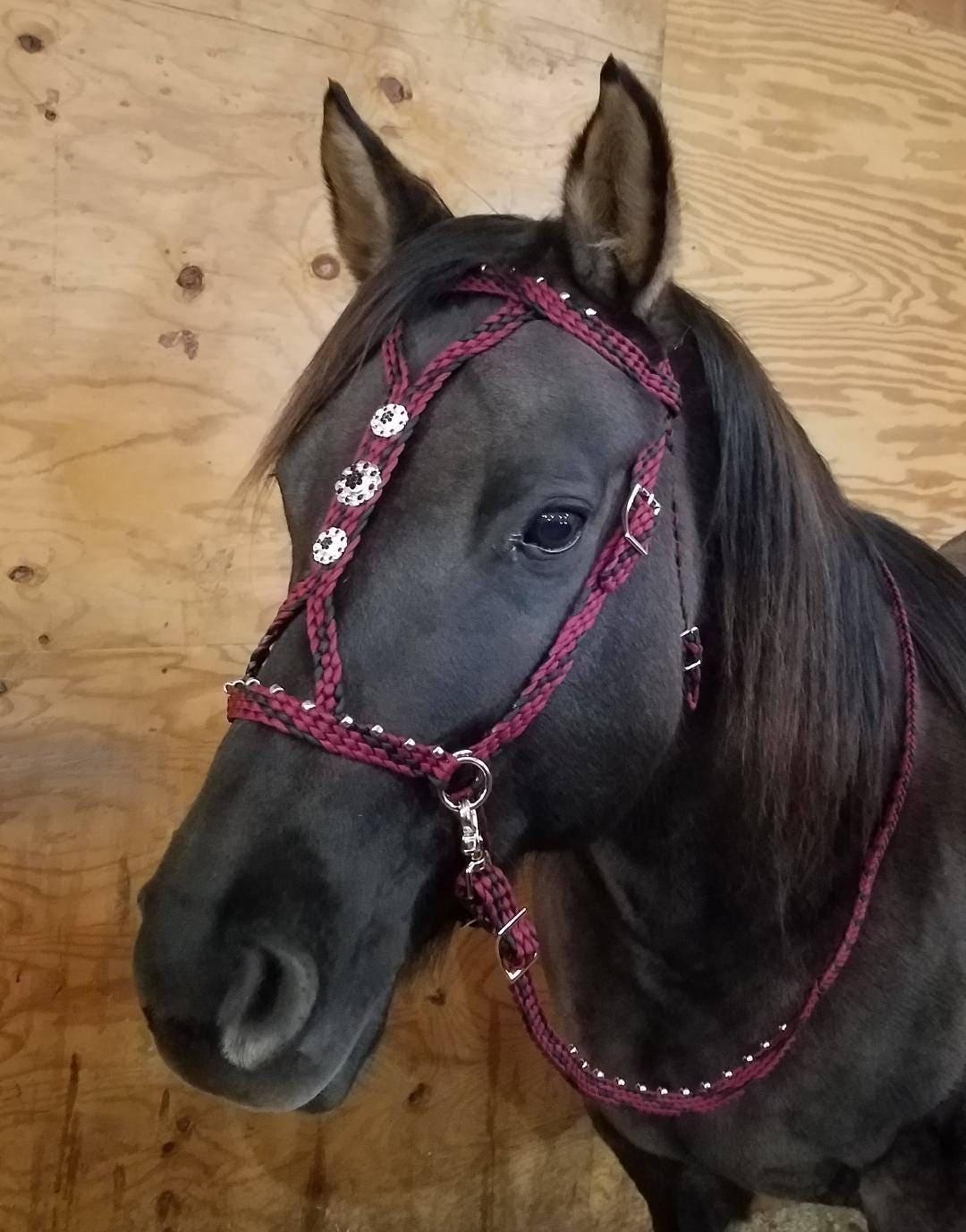 NEW HORSE TACK BLACK Braided Nylon Bitless Bridle with Reins NEW HORSE TACK BLACK Braided Nylon Bitless Bridle with Reins