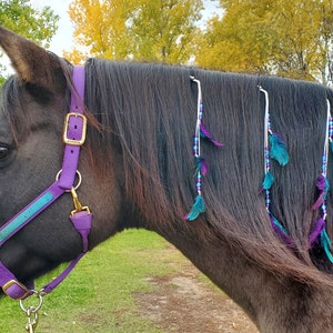 May include: A black horse with a purple and turquoise halter, wearing a beaded and feathered hair accessory.