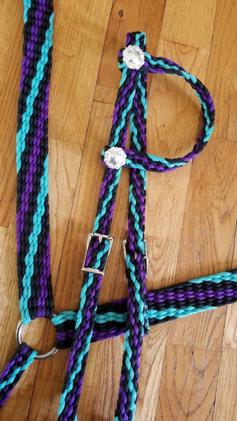 Stunning Hand Braided Headstall Reins Breast Collar Horse Etsy