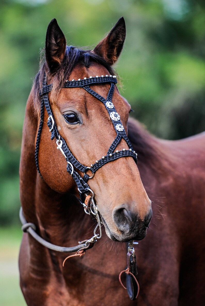Stunning Hand Braided HalterBridle Combo with BLING Conchos Etsy