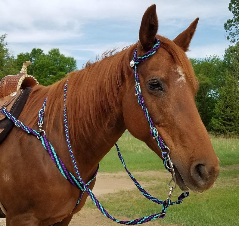 Stunning Hand Braided Headstall Reins Breast Collar Horse Etsy