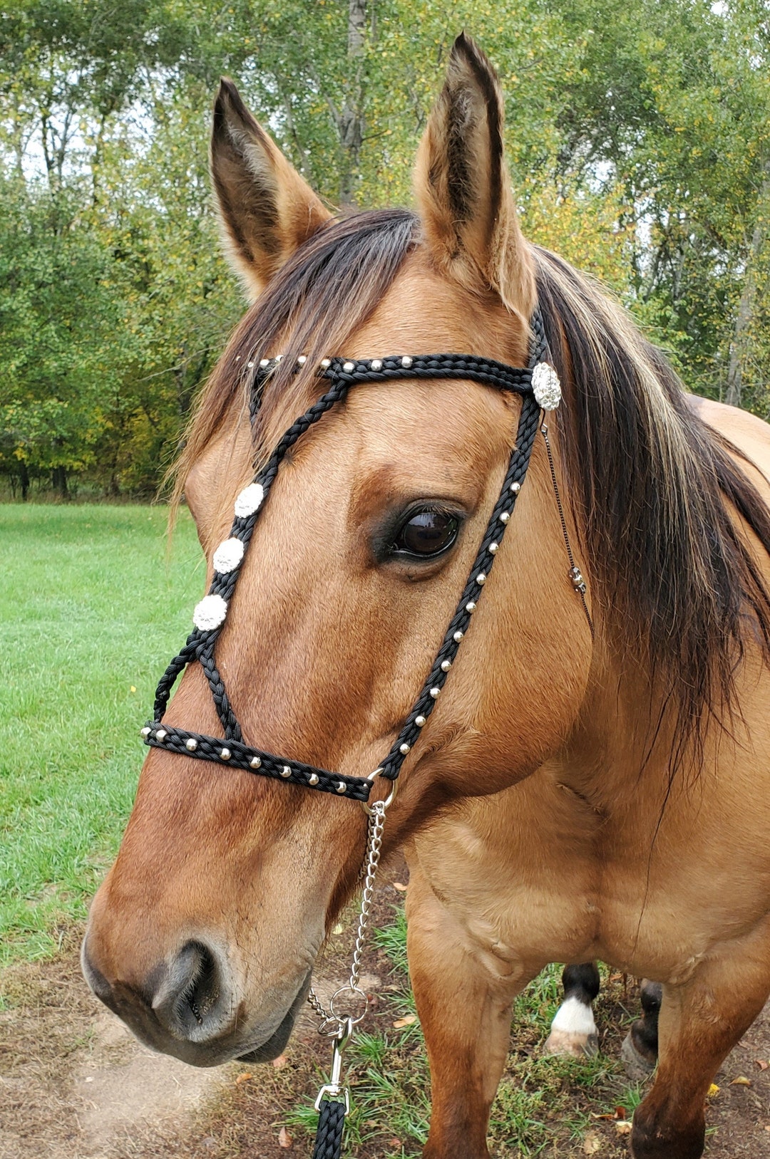 Licol De Présentation Tressé Main Pour Mini Cheval – Noir Et Rose