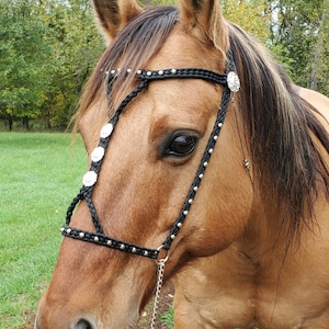 Hand Braided Show Halter w/Browband and Bling Conchos, Horse Tack, Arabian etc.  BLACK --New!