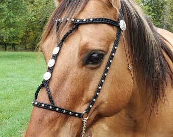 May include: A brown horse with a black braided halter with silver accents. The halter has a chain attached to the noseband.