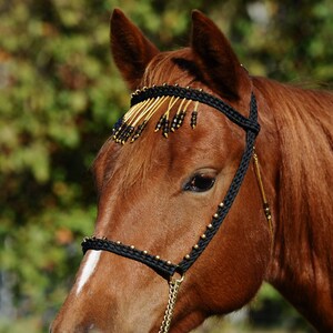 Stunning Hand Braided Miniature Show Halter,  BLACK,  Choose GOLD or SILVER!, All Sizes!   **New**
