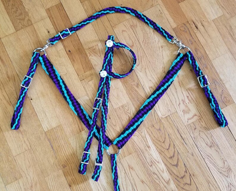 Stunning Hand Braided Headstall Reins Breast Collar Horse Etsy