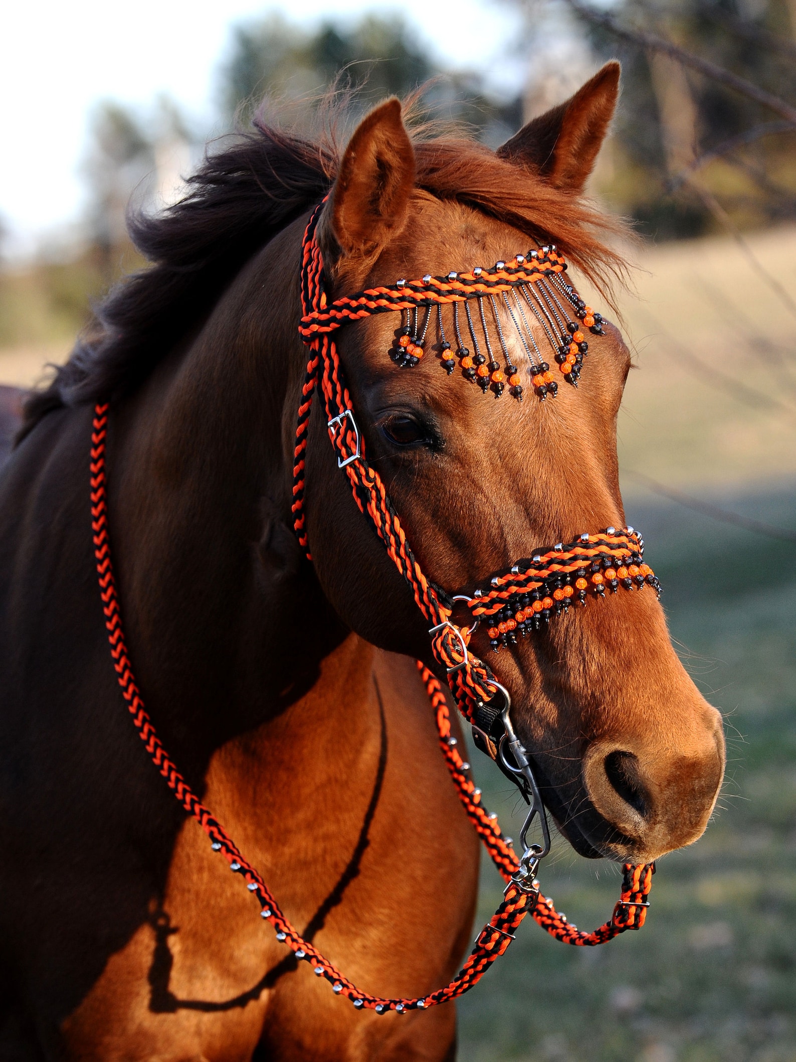 Stunning Hand Braided Bridle With Beaded Browband and Nose Etsy