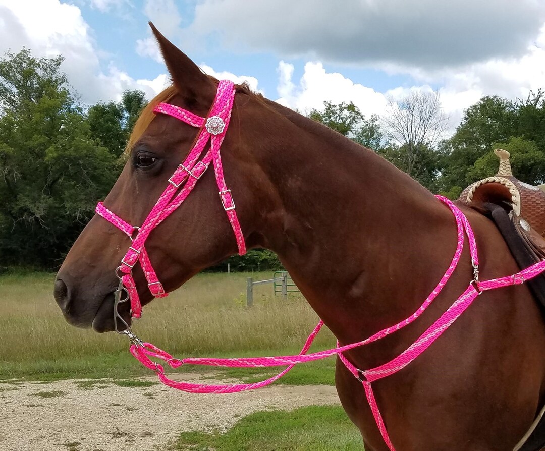 Coiffe Une Oreille Galbraith En Nylon Tressé Rose Vif – Matériel D'équitation Neuf
