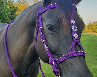 Stunning Hand Braided Halter-Bridle Combo with BLING Conchos Horse Tack, PURPLE w/BLACK  **New**